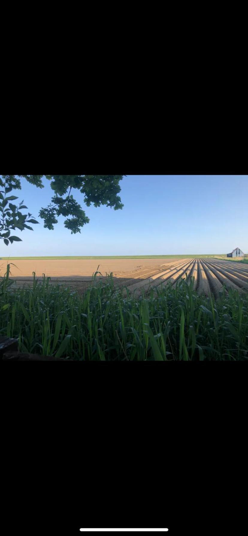 Stacaravan Het Zicht Scherpenisse Exteriér fotografie